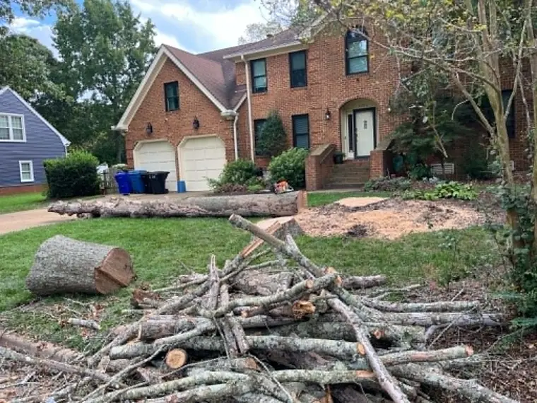 Logs and brush from a removal in front of a brick home