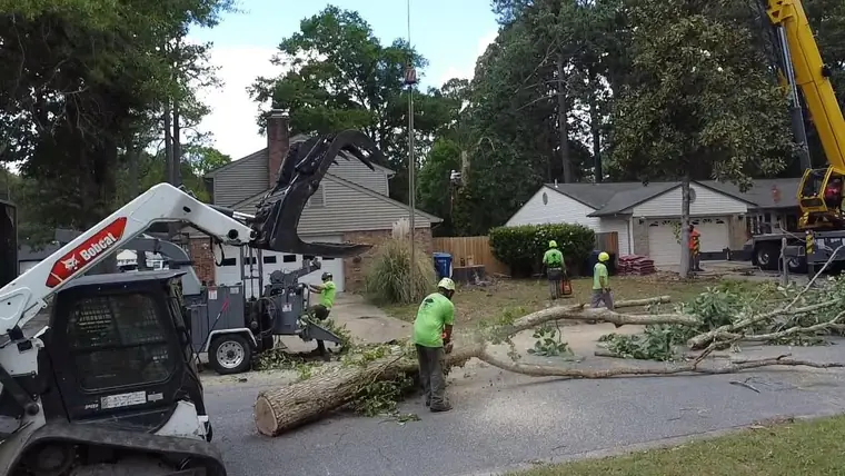 Storm Cleanup by TreeCo in Hampton Roads
