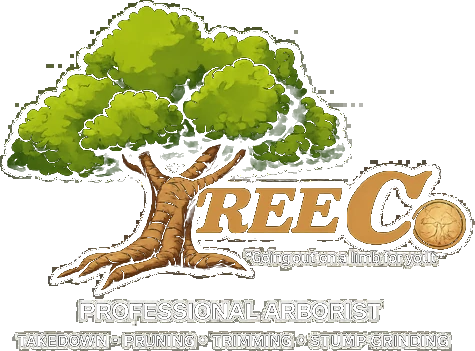 TreeCo Professional Arborist — takedown, pruning, trimming, stump grinding