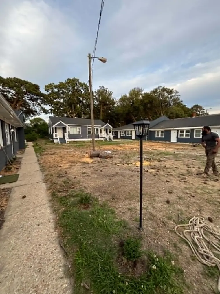 The same property after the pines were removed and cleaned up